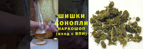 дмт Нея