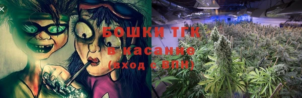 ПСИЛОЦИБИНОВЫЕ ГРИБЫ Алексин
