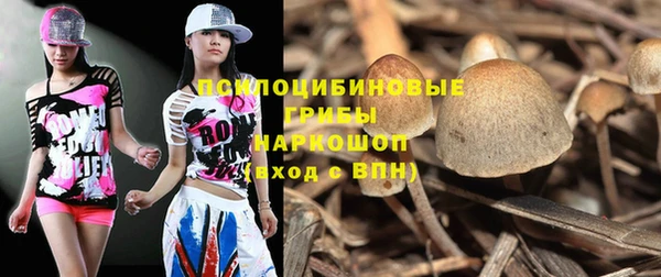 ECSTASY Алексеевка