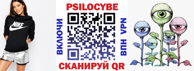 OMG Ардатов Псилоцибиновые грибы Psilocybine cubensis shop Telegram где купить наркоту